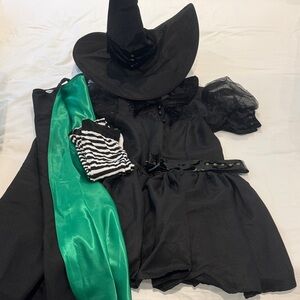 Wicked Witch of the West women’s Costume + accessories (wizard of, wicked)